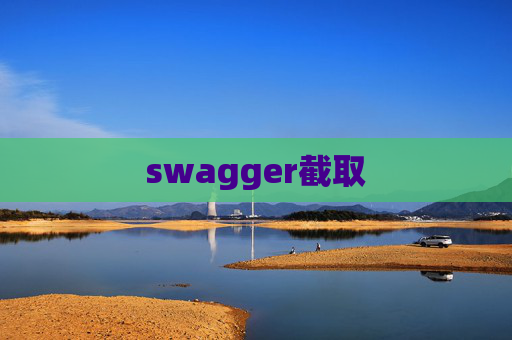swagger截取